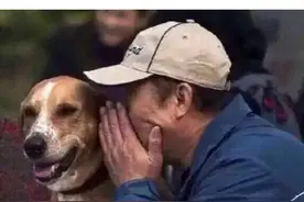 养狗几年的人，都不一定知道，这五样东西能去除狗臭味图片