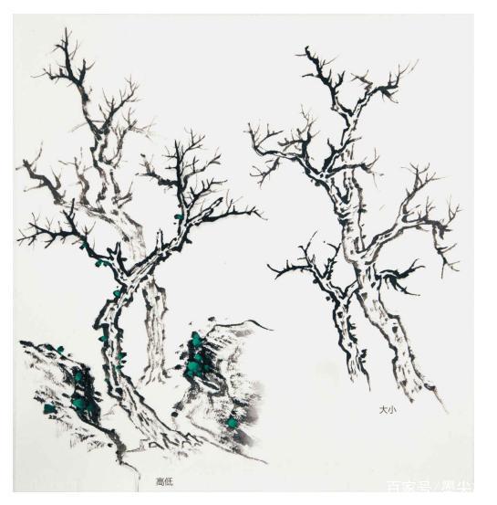 鱼鳞柏树