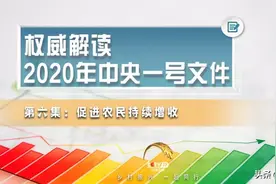 说一千、道一万，增加农民收入是关键图片