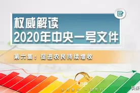 说一千、道一万，增加农民收入是关键图片