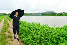 中山巾帼有力量丨罗萍芳：小小叉尾鱼 致富大门路图片