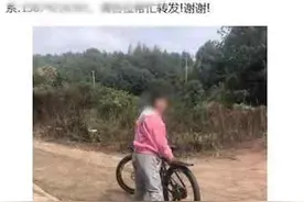 湖南一8岁女童走失后遇害，遗体在树林内被发现，警方已介入调查图片