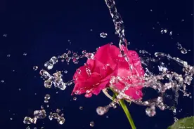 女神节，做自己的白月光图片