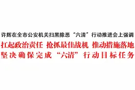 四平市公安机关扫黑除恶“六清”行动推进会图片
