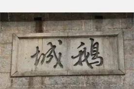 腾讯新址叫“鹅城”？马老板又高又硬图片