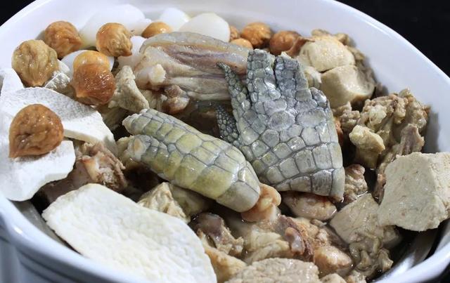 鳄鱼：我如此凶猛强壮，没想到在广东还是会被做成海底椰炖汤