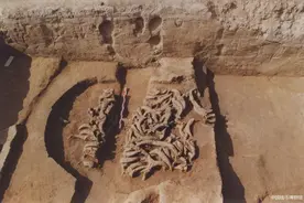 金牛贺岁，方孔圆钱上的牛图片