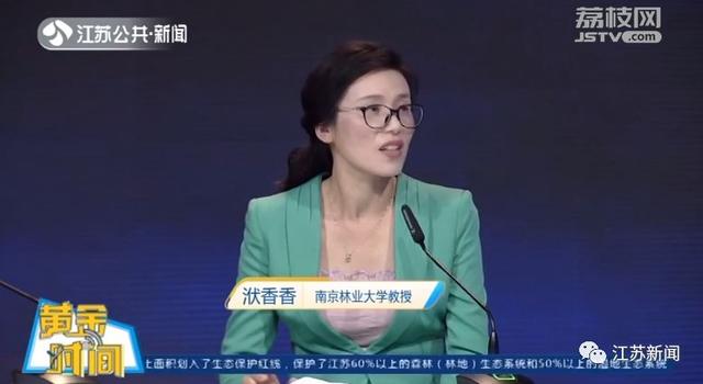 再不用靠进口！全国近1/3的碧根果竟产自江苏这里丨黄金时间