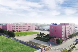 《青岛制造“新金花”》海丽雅：小小绳缆“上天入海”图片