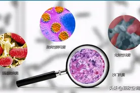 中央空调里潜伏的健康“杀手”你知道吗图片