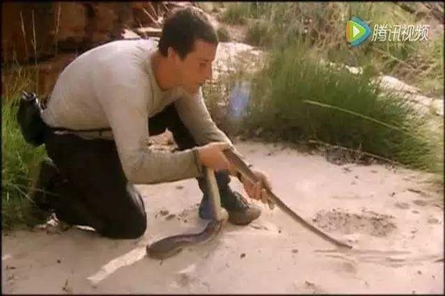 贝尔格里尔斯：都说他什么都吃，至少在中国的皮蛋面前，他退却了