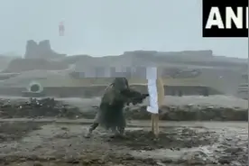 笑不活了！印军“高强度”训练太滑稽，网友：真不是马戏团表演？图片