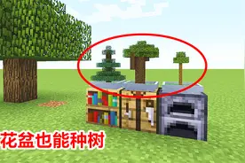 游戏安装了这个mod，能在花盆里种树！几秒钟长出一棵树！
