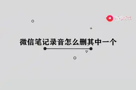 微信笔记录音怎么删其中一个吗图片