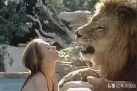国外美女饲养狮子当宠物，在水池边戏水，下一秒意外发生了图片