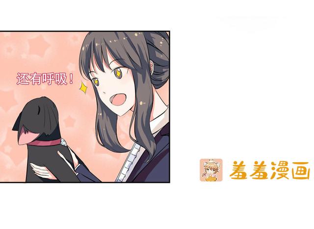 夜路走多了，竟捡到宝，带着巨钻的小黑猫一只