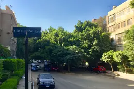 走进开罗的“唐人街”图片