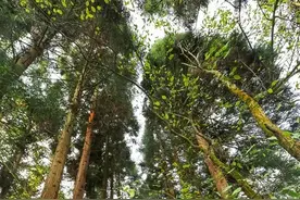 双节，桐梓这里你去了么？图片