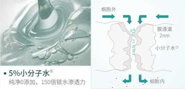 这些大牌平替是借鉴还是抄袭？醒醒吧！大牌平替都是骗人的，别信