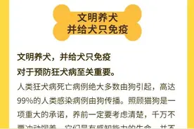 男孩因感染狂犬病身亡，生前未被咬伤，到底发生了什么？！世界狂犬病日图片