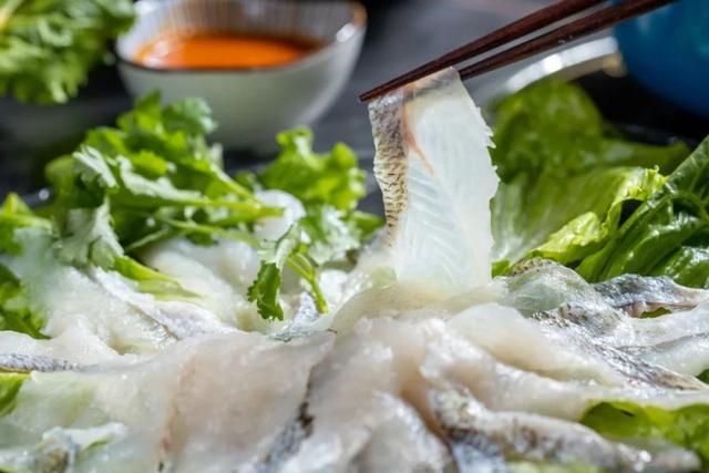 鱼翅和花胶上火吗 2026年鱼翅和花胶上火吗还是下火