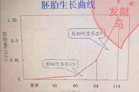产仔均重1.4公斤以上：妊娠母猪前期保胎是基础，后期营养是关键图片