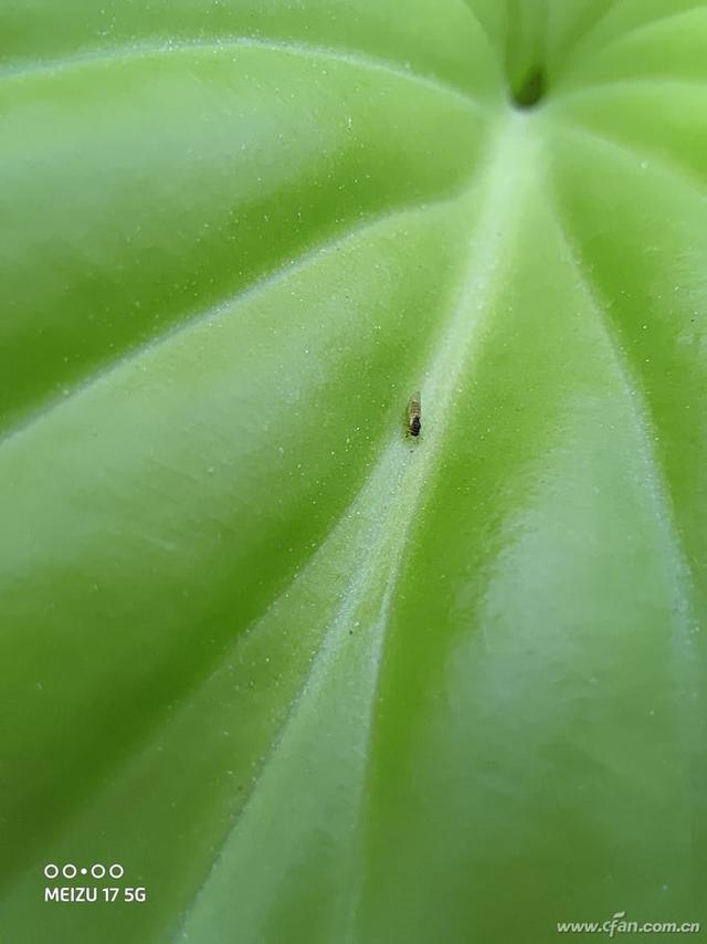 魅族 17评测：魅族的5G梦想从它开始