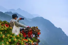 庐山三日行，追梦三叠泉图片