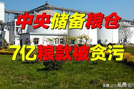 中央储备粮，28亿斤粮食被贪污？谁是幕后黑手？真相触目惊心图片