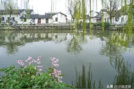 经济条件好的地区适当增加行政区，苏州的常熟昆山有可能单飞吗？图片