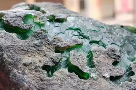 莫湾基，肉细满色干净无棉图片