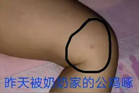 孩子被公鸡欺负，爷爷为给孙子出气，把公鸡炖了，隔辈真亲图片