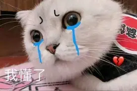 超撩人表情包 | 等我发工资就来嫖你图片