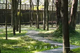 占地4500亩，坐拥3个校区，四川这所“双一流”火了，依山傍水风光绝美！图片