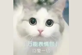 表情包：我最期待的画面出现了图片