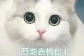 表情包：我最期待的画面出现了图片