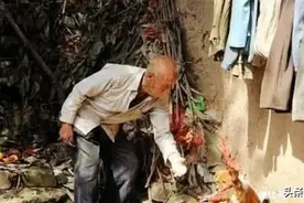 老人中风住院，家中狗狗无人照看，一个月后回家一看感动落泪！图片