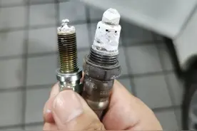 股东均为裴经理！继“淮南”后，又有哈尔滨车主在幸福石化加油站“中毒”图片