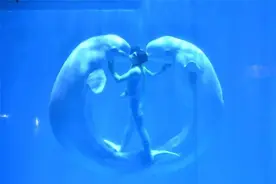 这次是真的！哈尔滨极地馆门票免费送啦，每人2张图片