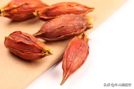 黄栀子上色技巧图片