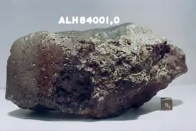 一个颠覆认知的事实：在人类之前，可能早已有地球生物登陆月球图片