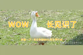 科普一下 | 河北专接本VS河北专升本图片