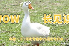 科普一下 | 河北专接本VS河北专升本图片