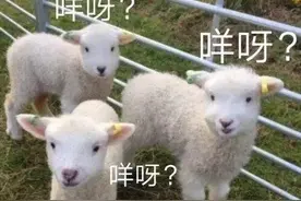 确认作弊！湖北考生考场拍卷上传搜题，被取消考试资格图片