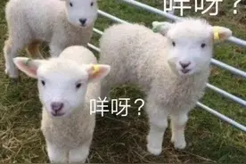 确认作弊！湖北考生考场拍卷上传搜题，被取消考试资格图片