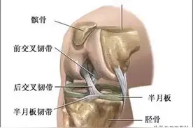 膝盖总疼？15个膝关节康复锻炼方法，供你选择！图片