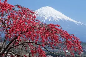 日本一小学体育课禁止女生穿内衣，除非确认已发育，网友怒了图片