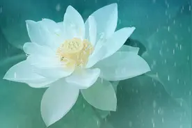女人们，别整天情啊爱啊，2021好好赚钱比什么都重要图片