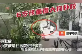 揪心！湖北一小区内未拴绳恶犬扑咬6岁孩子，狗主人竟拒不承认图片