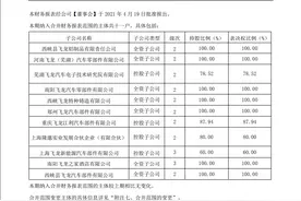 飞龙股份旗下各子公司的注册地，产品类型，员工人数，发展趋势图片